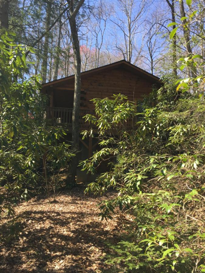 Misty Creek Log Cabins マギー・バレー エクステリア 写真