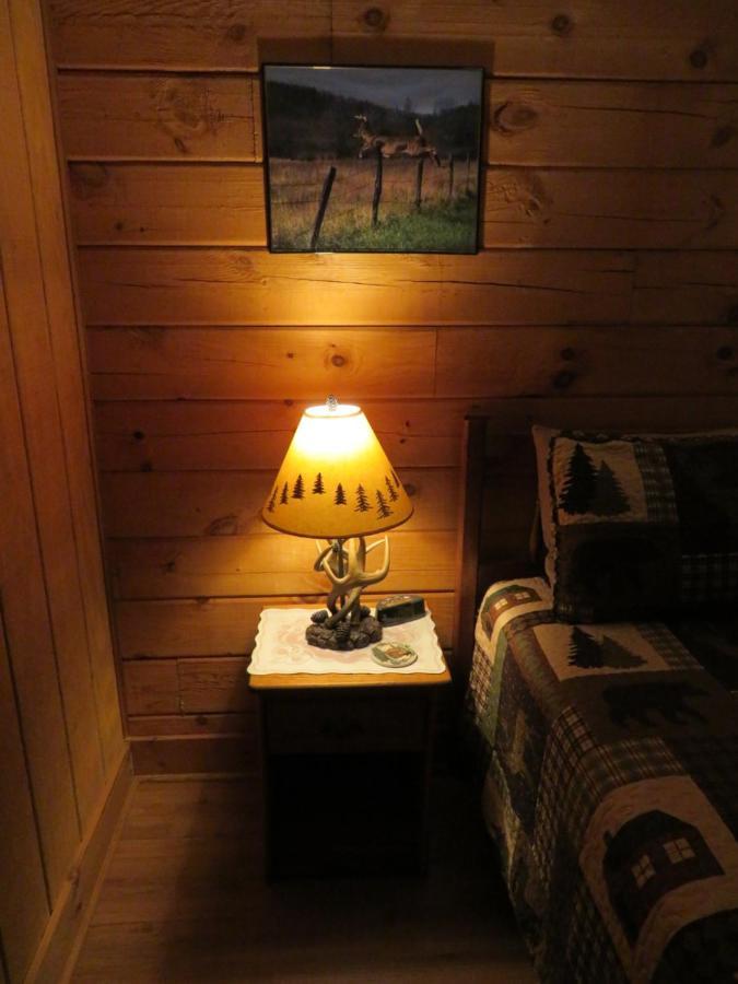 Misty Creek Log Cabins マギー・バレー エクステリア 写真